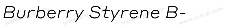 Burberry Styrene B字体转换